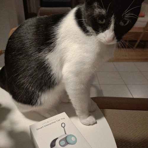 Interactive cat toy like new with remote control and accessories