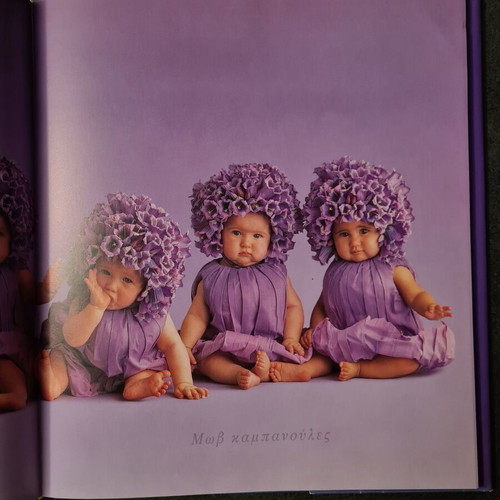 Album The Treasures of the Garden Anne Geddes used book