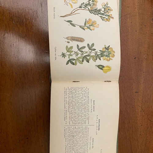A.Masclef “Les Plantes d’Europe” βιβλίο φυτολογίας σαν καινούργιο, γαλλικά