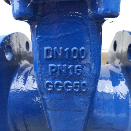 Valve DN 100 elastic sealing new, PN16 GGG50 flange connection