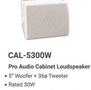 CES AUDIO PRO Audio Cabinet Speaker CAL5300W δύο ζευγάρια