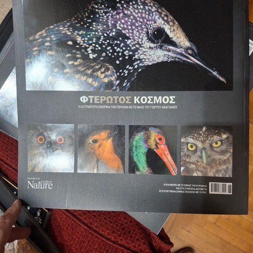 Fterotos Kosmos book about the beauty of birds by G. Avagianou