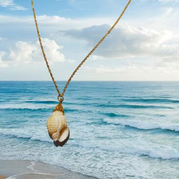 Long necklace with natural shell and stainless steel chain new