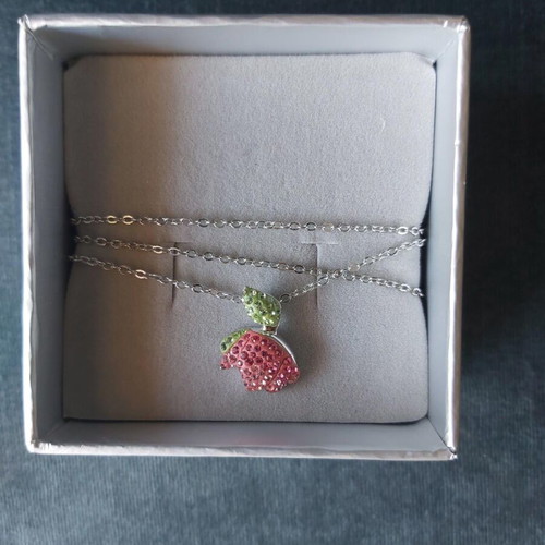 Necklace used