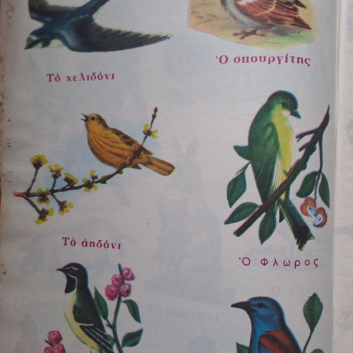 Vintage Zoology and Natural History Notebooks like new, set of 2