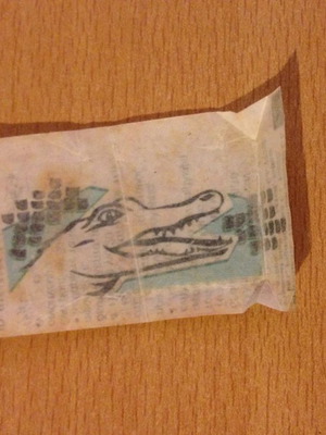 Παιδικό τατουάζ νερού κροκόδειλος vintage 2000s