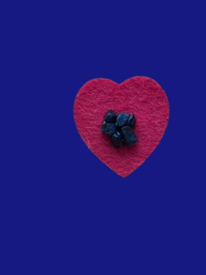 Heart pin with sodalite new, blue and pink