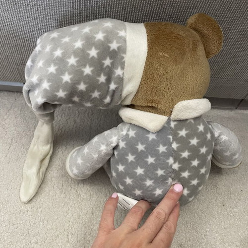 Teddy bear new