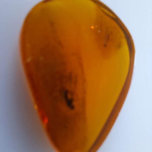 Baltic amber drop with insects suitable for pendant 0.93 grams