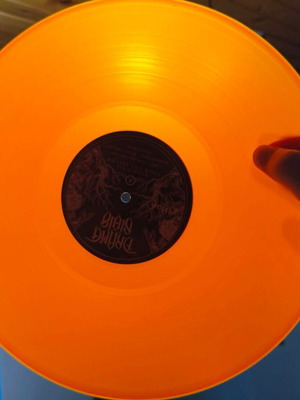 Drama Noir Nightfall Upon the Asylum LP vinyl album new