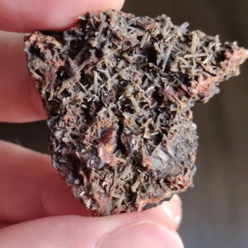 Prasios with garnet new, unique specimen