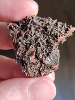 Prasios with garnet new, unique specimen