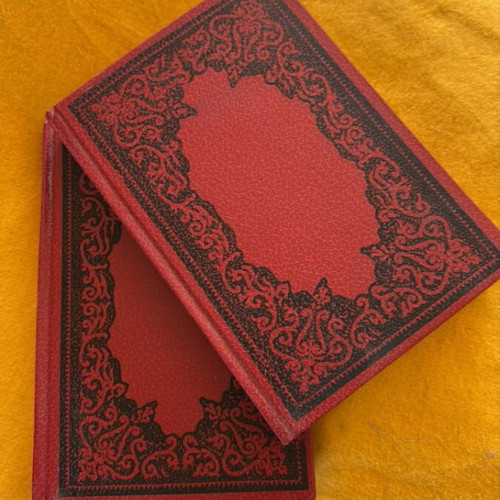 F. Dostoevsky The Demons & The Idiot 2 Hardcover Volumes Govostis Edition