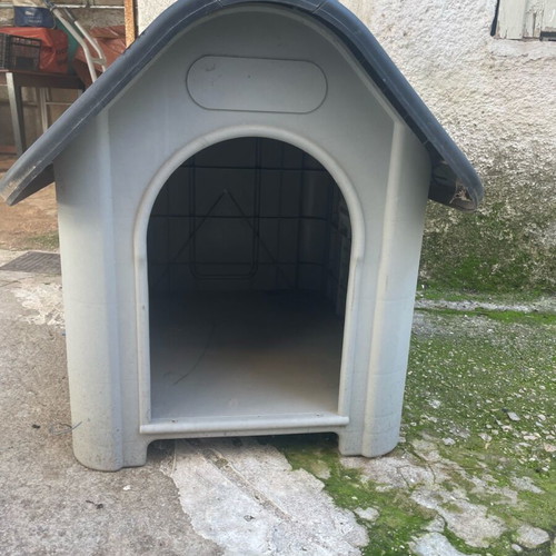Dog house new with window, medium size