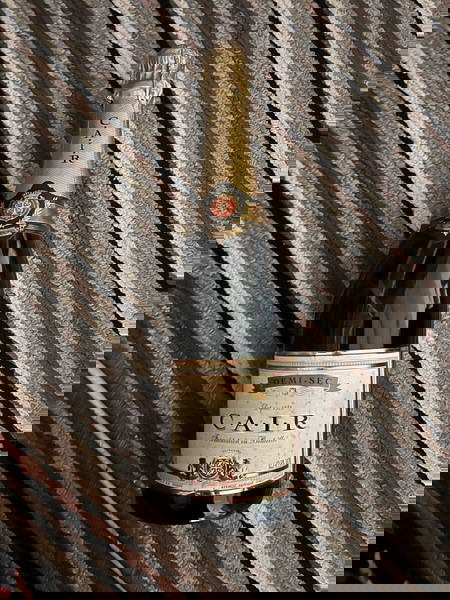 Champaign ( new )