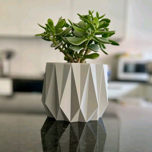 Plant pot new