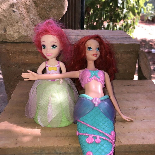 Barbie dolls used with accessories and ponies