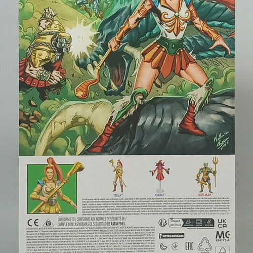 Teela 200X Cartoon Collection Deluxe Action Figure new