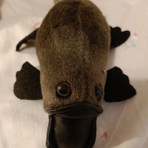 Plush toys platypus set of 2 new