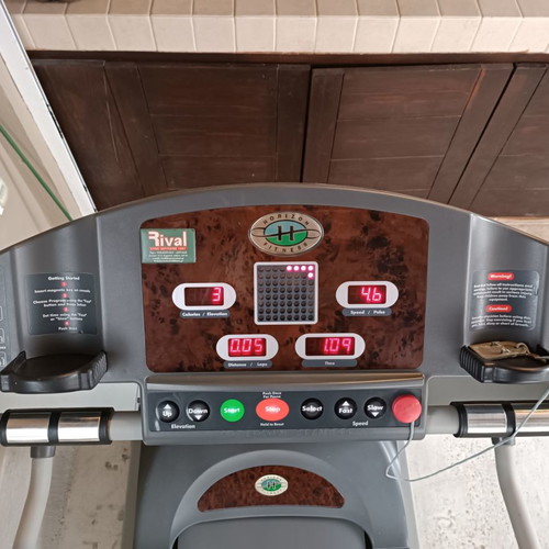 Horizon Paragon treadmill used with shock-absorbing deck