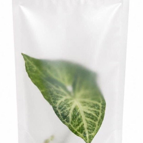 Zigonium Rose or Green Cutting New, Packaged