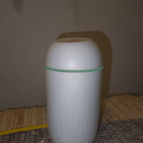 Humidifier with built-in light
