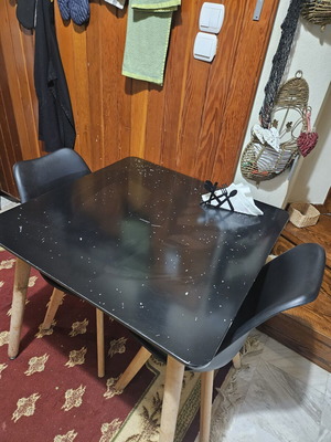Table with 2 chairs