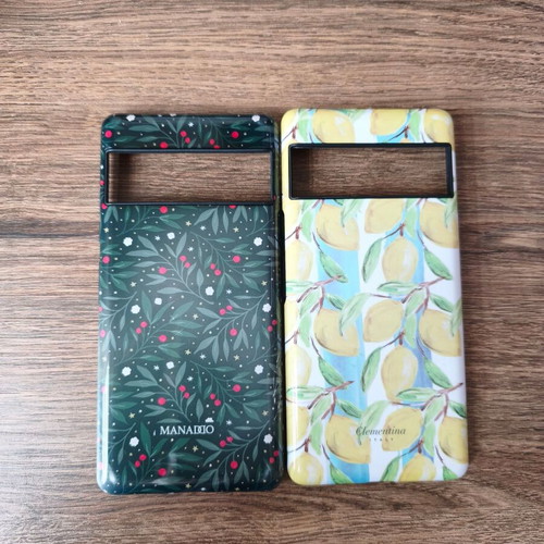 Google Pixel 6 Pro cases like new with dual-layer protection