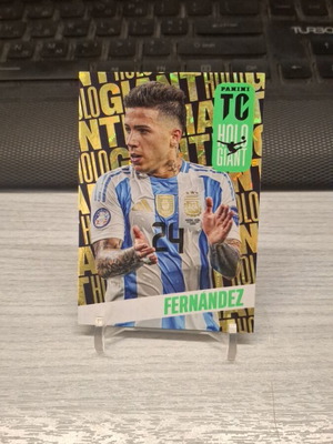 Panini Top Class 2025 Enzo Fernandez Holo Giant new