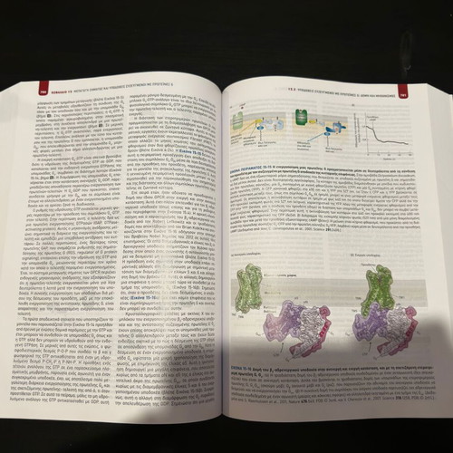 Molecular Cell Biology new edition 2019 by Utopia