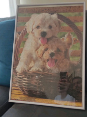 Puzzle in frame with two puppies in a basket handmade like new