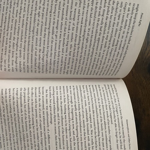 Franz Kafka Metamorphosis and Other Stories book used