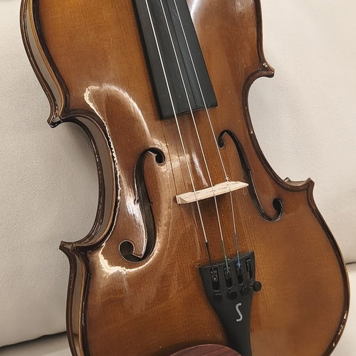 Stendor Student 1 violin with case, bow, bridge and music stand