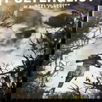  DVD THE POLTERGEIST OF BORLEY FOREST HORROR MOVIE FROM STEPHEN McKENDREE