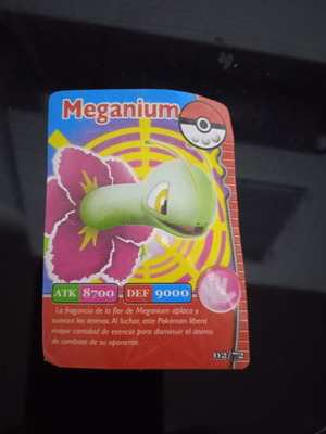 Pokemon card 2008 used