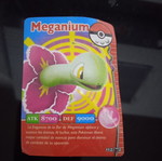 Pokemon card 2008 used