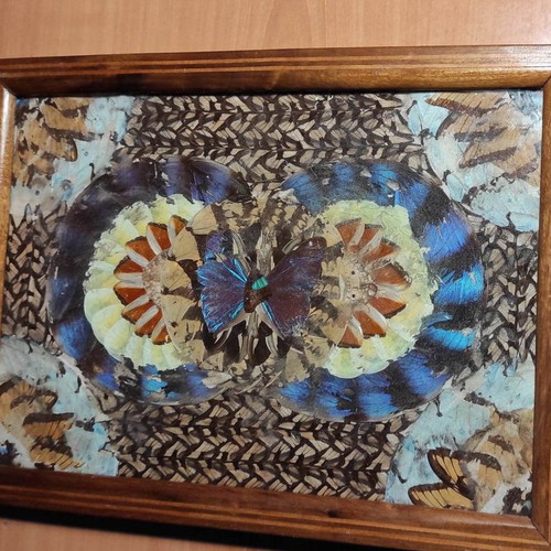 Serving platter used, decorated with butterfly feathers