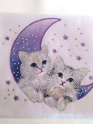 Diamond painting canvas with two cats on the moon new 25x25