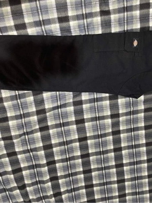 Dickies pants new
