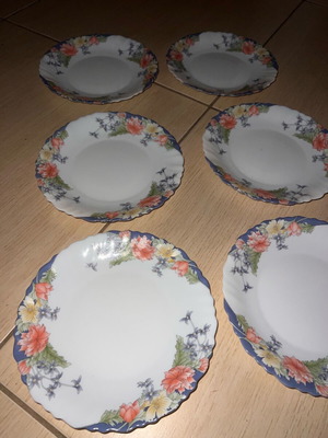 Set of 6 porcelain plates like new, vintage handmade with flowers