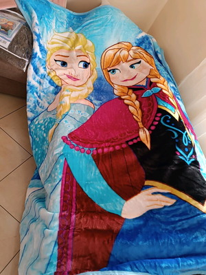 Frozen single blanket new with Elsa and Anna