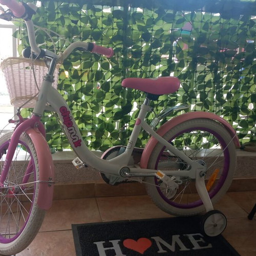 Chipmunk Kids Bicycle like new with training wheels and basket