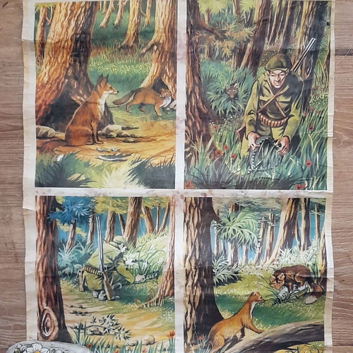 Vintage educational poster 'A Cunning Fox and a Beautiful Weasel' school chart