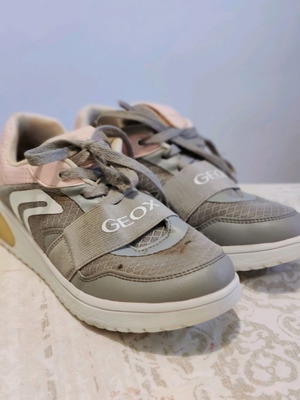 Geox 37