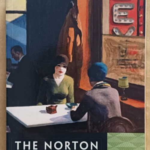 The Norton Anthology of American Literature Volume D like new