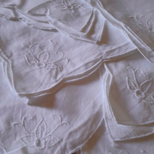 Napkins for food pack of 8 like new