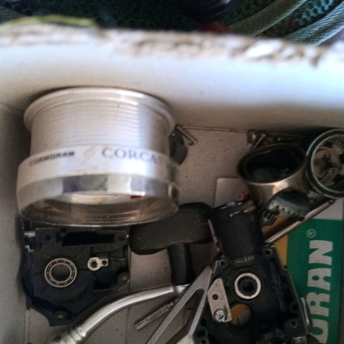 Cormoran fishing reel new