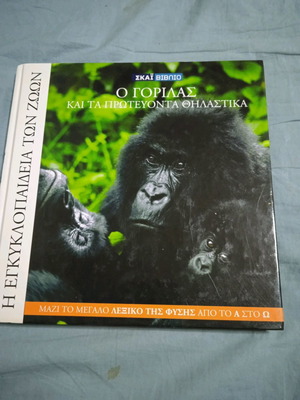 The Gorilla and the Primates Mammals