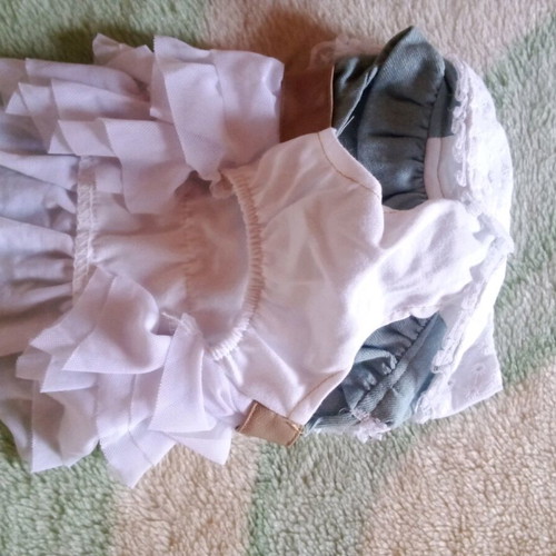 Clothing for small dog new