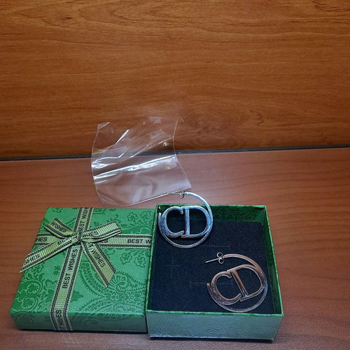 Stainless steel earrings new with CD letters silver